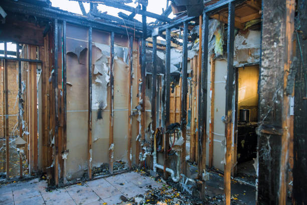 Professional Odor Removal technician working in Columbus, MN